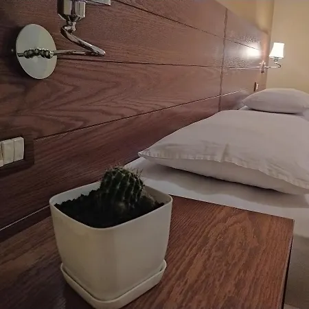 Hotel Bujtina Vasili